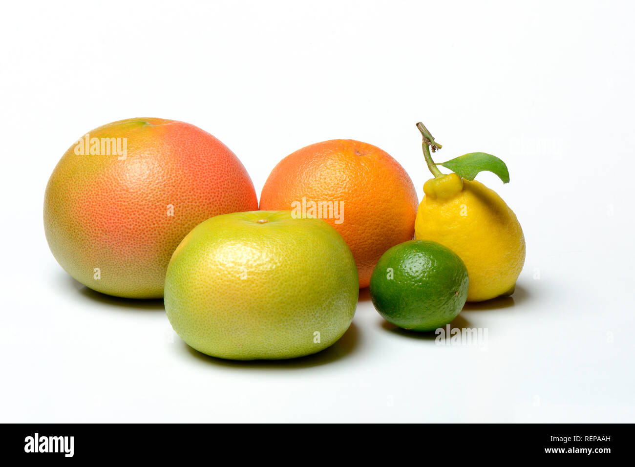 Citrus paradisi x citrus maxima hires stock photography and images Alamy