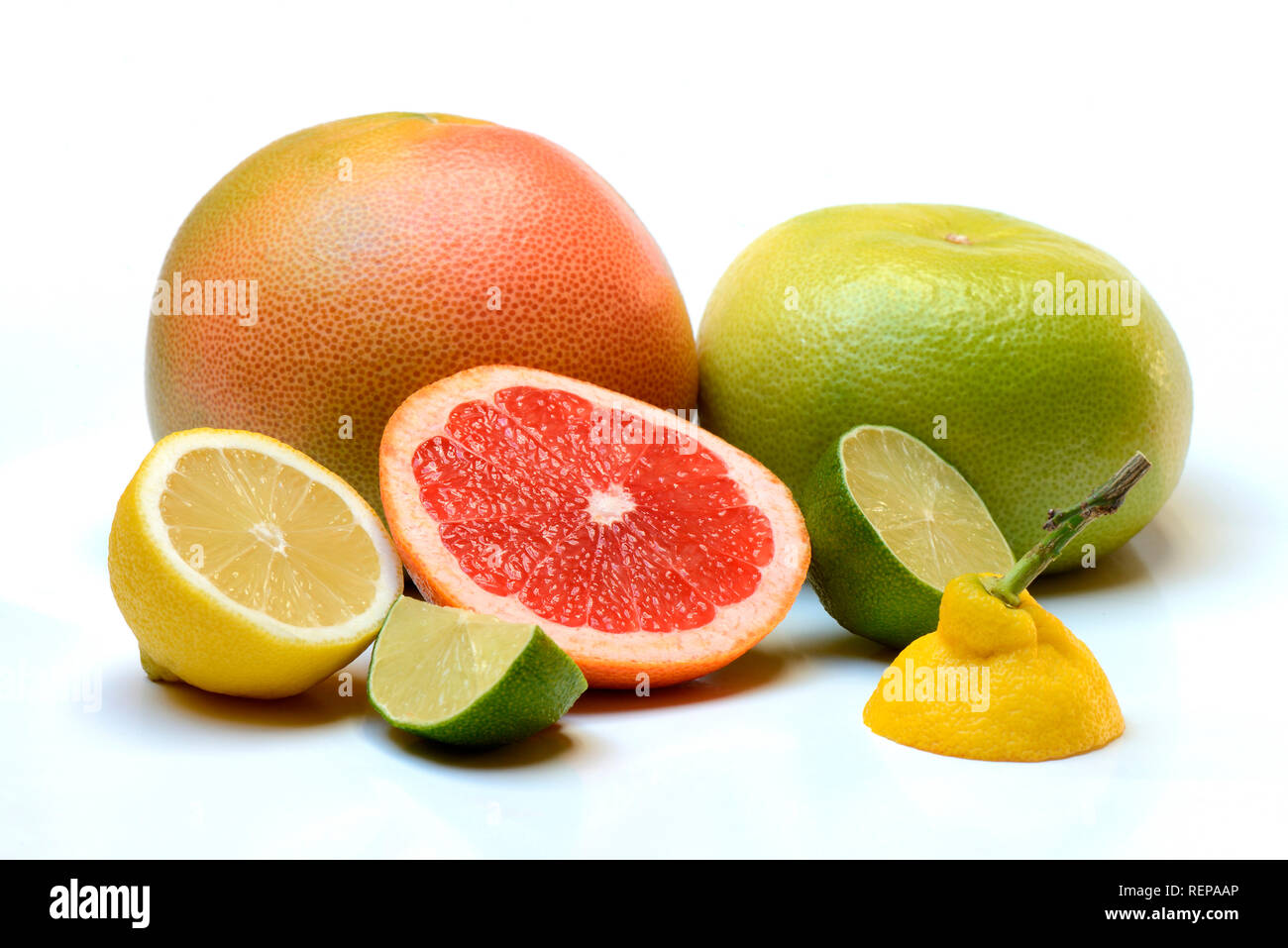 Pomelo, rote Grapefruit, Sweetie (Kreuzung zwischen Pampelmuse und Grapefruit, auch Oroblanco), Limette, Zitrone, halbiert Stock Photo