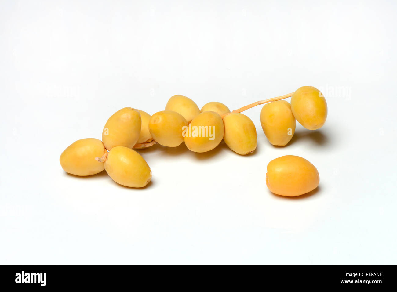 fresh dates, Bahri dates, from Namibia Stock Photo Alamy