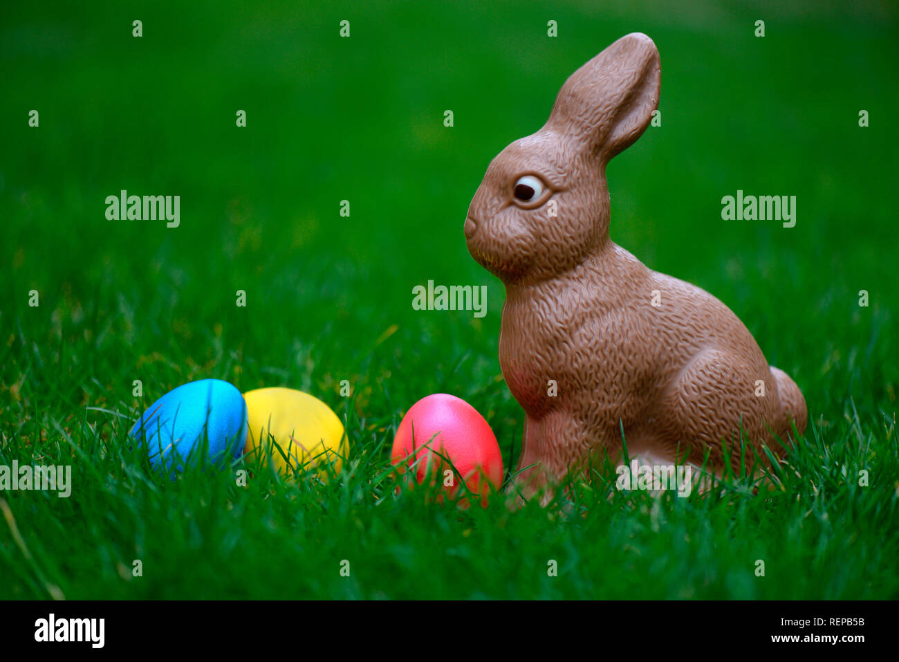 chocolate Easter bunny and Easter eggs Stock Photo