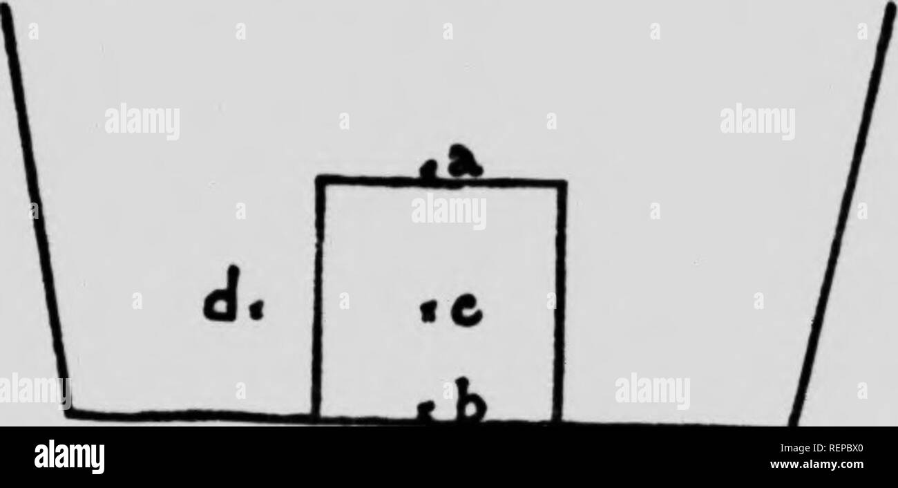 Page 5 0 9 3 3 Ft High Resolution Stock Photography And Images Alamy Page 5 0 9 3 3 Ft High Resolution Stock Photography And Images Alamy