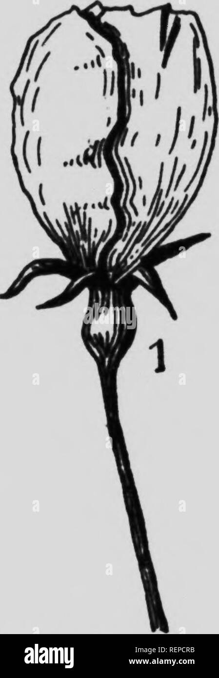 cybex silver siège auto