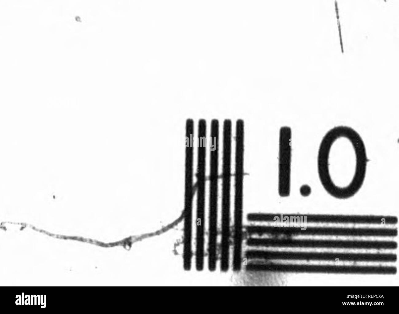 Page 198 F A L N High Resolution Stock Photography And Images Alamy