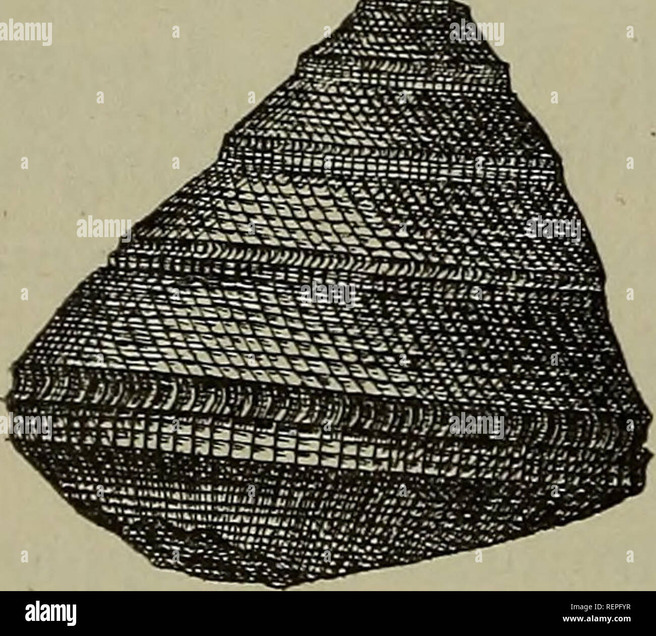 Turmformig hires stock photography and images Alamy