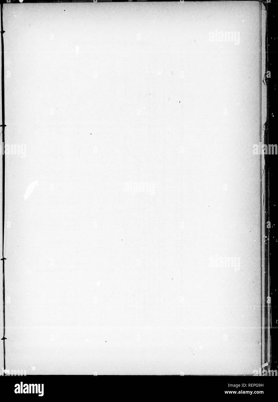 . Compte rendu de l'expédition de Mistassini 1884-85 [microforme]. Sciences naturelles; Natural history. . Please note that these images are extracted from scanned page images that may have been digitally enhanced for readability - coloration and appearance of these illustrations may not perfectly resemble the original work.. Low, A. P. (Albert Peter), 1861-1942. [S. l. : s. n. ] Stock Photo