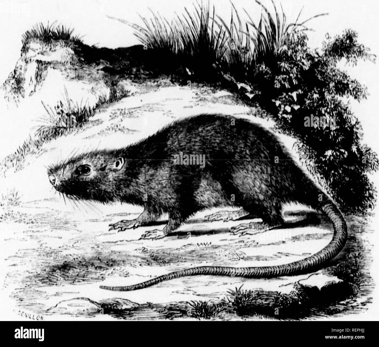 Page 6 Iiin High Resolution Stock Photography And Images Alamy