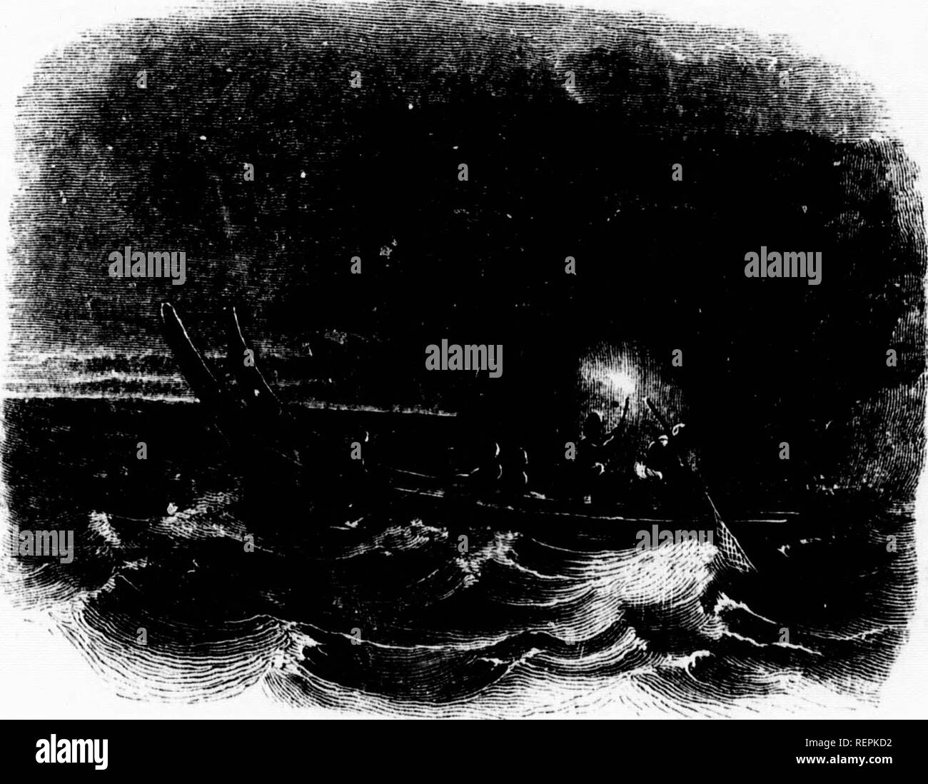 . The ocean [microform]. Marine biology; Marine animals; Marine plants; Biologie marine; Faune marine; Flore marine. e kernel, they are made by he leaves lot only liancy of described irge par- a is com- idge-hog- it is a Id a lonof ;hes, the ling surf ;h fisher- hove his ;'ht, and the ap- le rivers, he effect s, &quot; pre- L a band s of the riih one glare of boughs, stream. d forms, L relief; ast with THE PACIFIC OCEAX. 293 the dark and almost midnight gloom that envelopes every other object.&quot;* Another mode of fishing by torchlight is described by the late Mr. Williams, who accompanied s Stock Photo