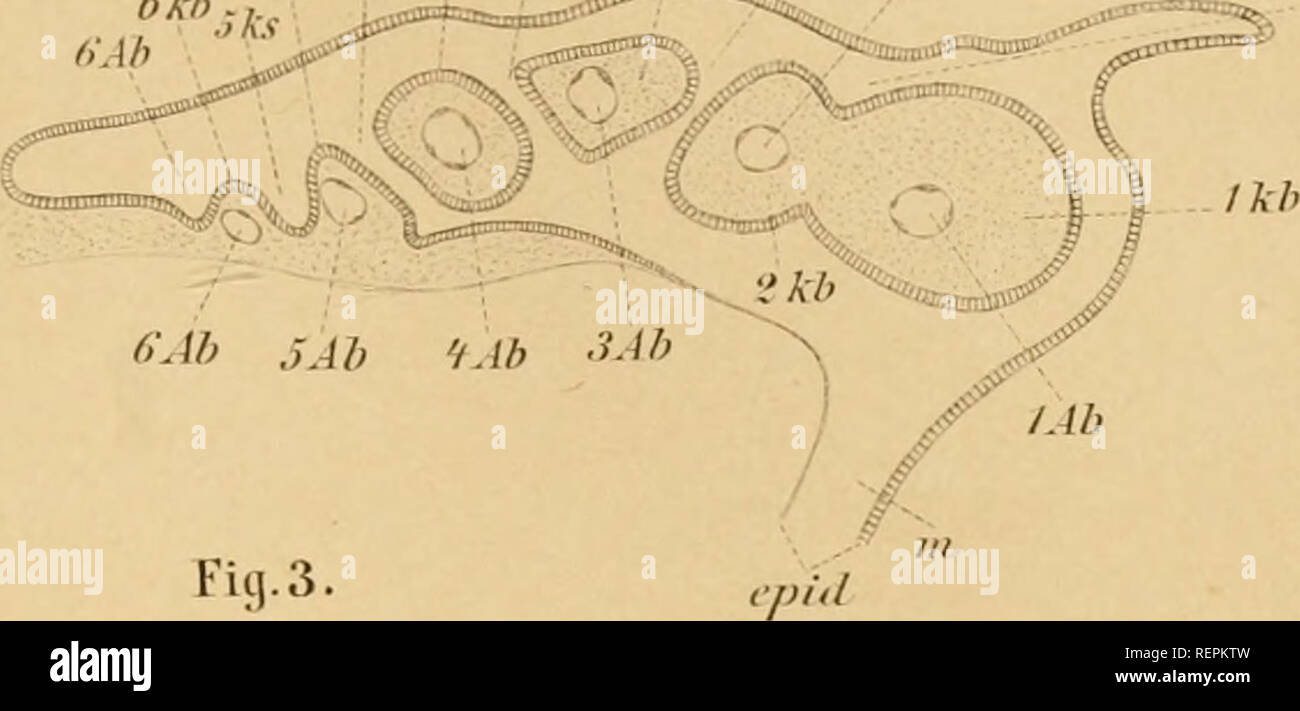 Page 2 Srk High Resolution Stock Photography And Images Alamy