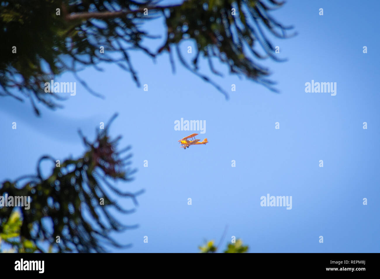 Yellow double decker biplane flying over Perth seen from the Stirling Gardens Stock Photo