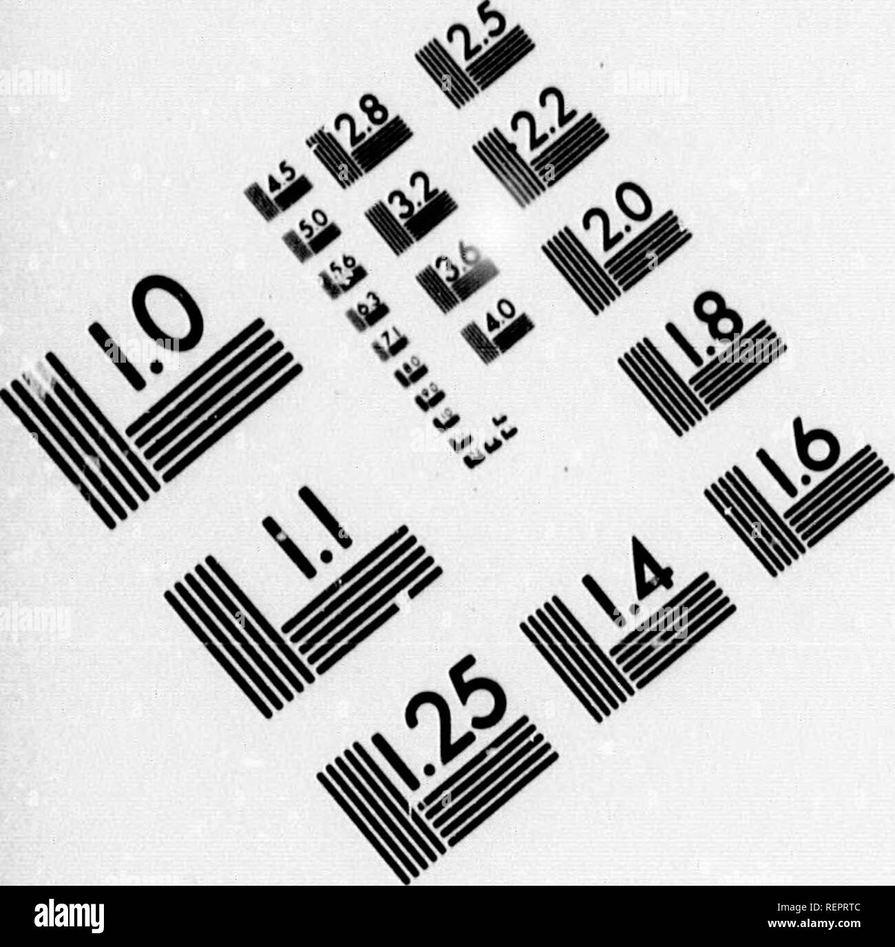 H 23 1 8 Black And White Stock Photos Images Page 3 Alamy