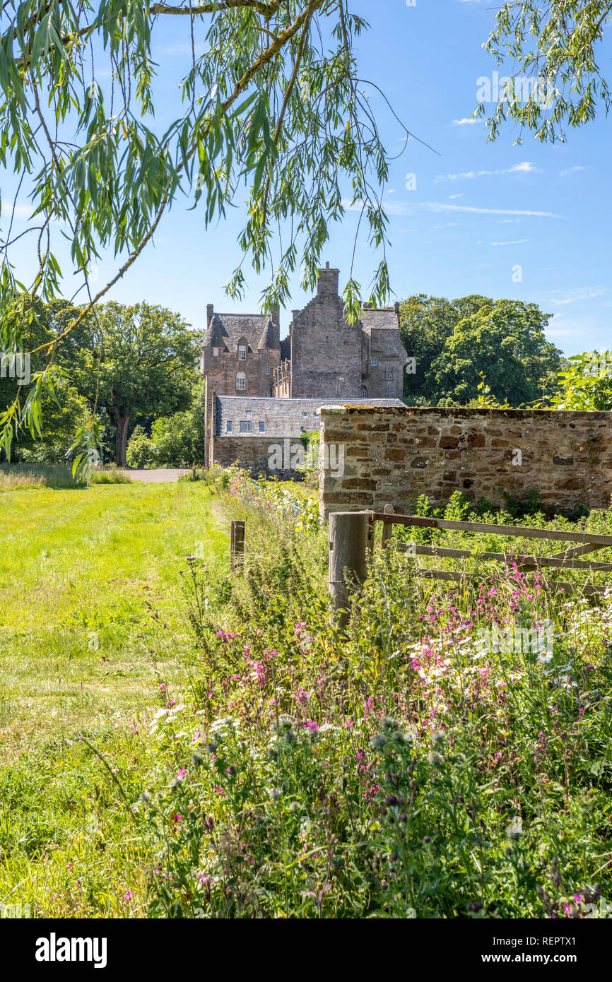 Wild flowers growing at Kellie Castle, Fife, Scotland UK Stock Photo