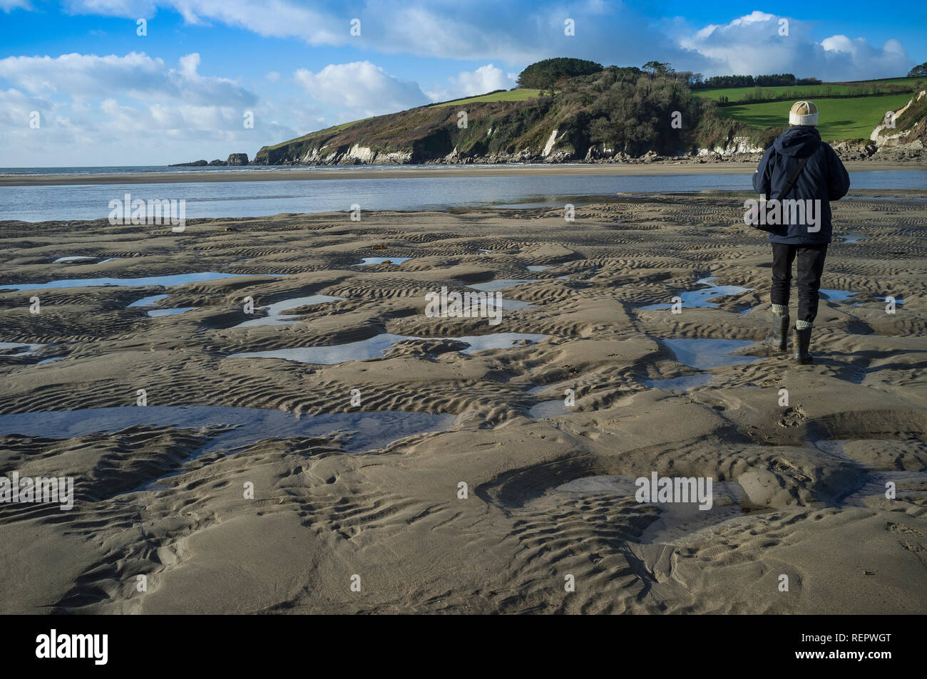 Walker on Wonwell Beach at low tide, South Hams, Devon, UK Stock Photo