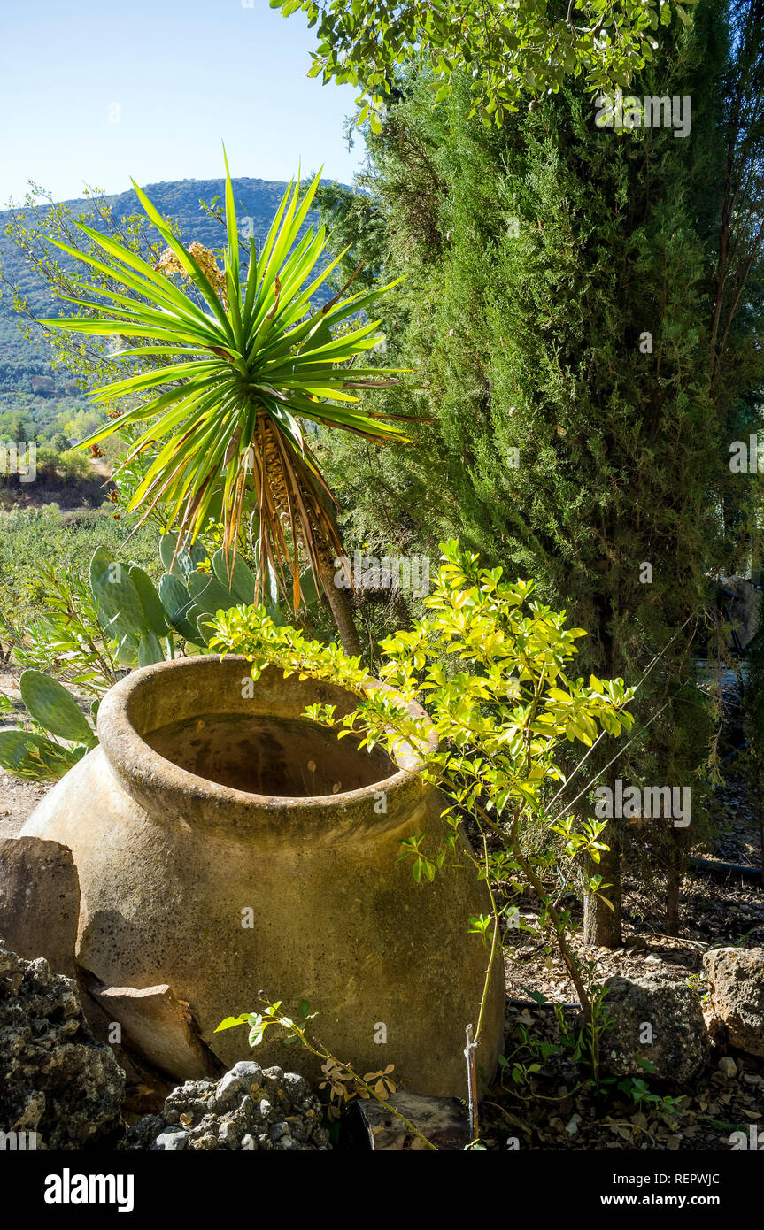 Pottery olive oil urn in countryside Andalucia, Spain Stock Photo