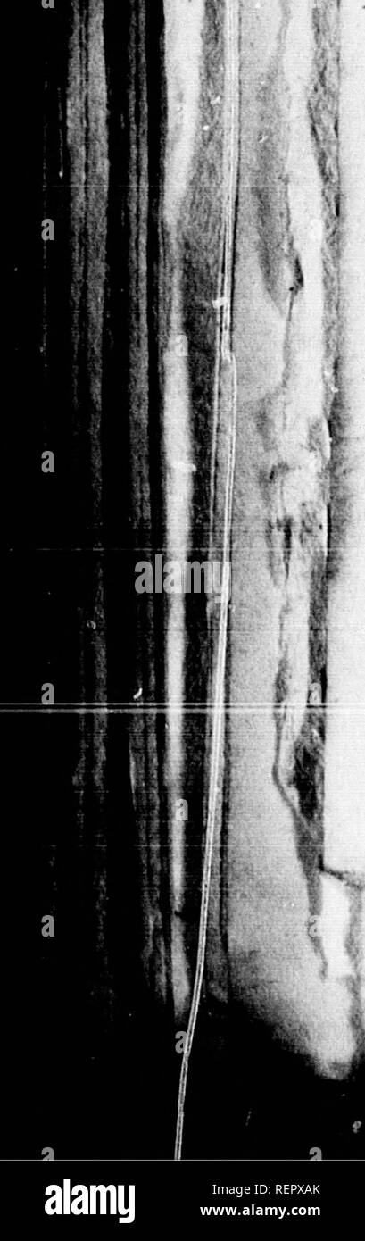 Histoire Naturelle Des Va C Ga C Taux Classa C S Par Familles Microforme Avec La Citation De La Classe Et De L Ordre De Linna C Et L Indication De L Usage Que L On Peut Faire Des Plantes Dans