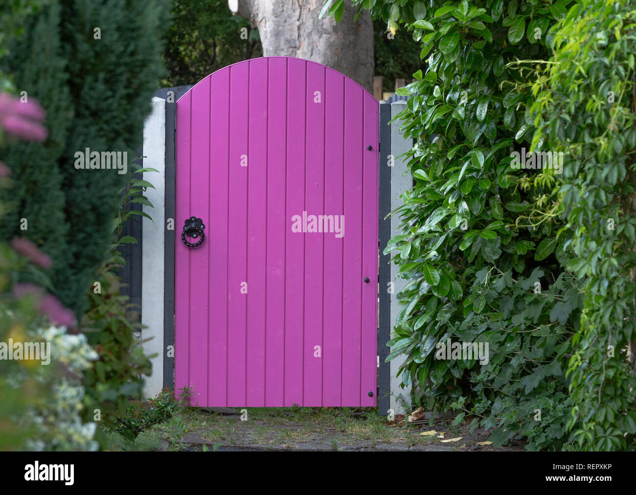 A pink painted wooden garden gate. Stock Photo