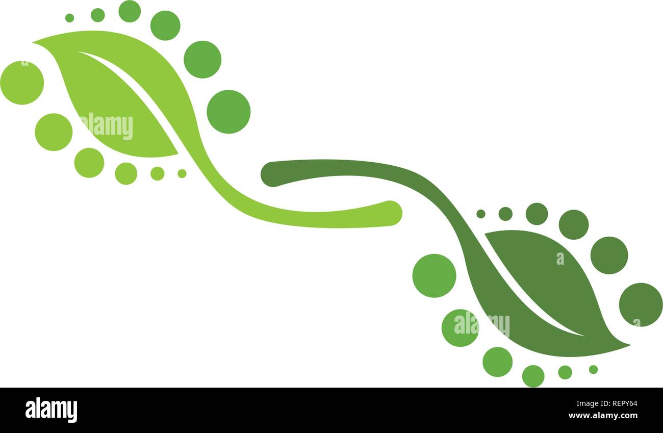 leaf green nature logo and symbol template Vector Stock Vector Image ...