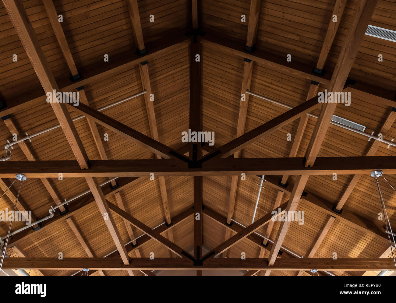 Underside of shed roof, showing trusses and plank roofing. Stock Photo