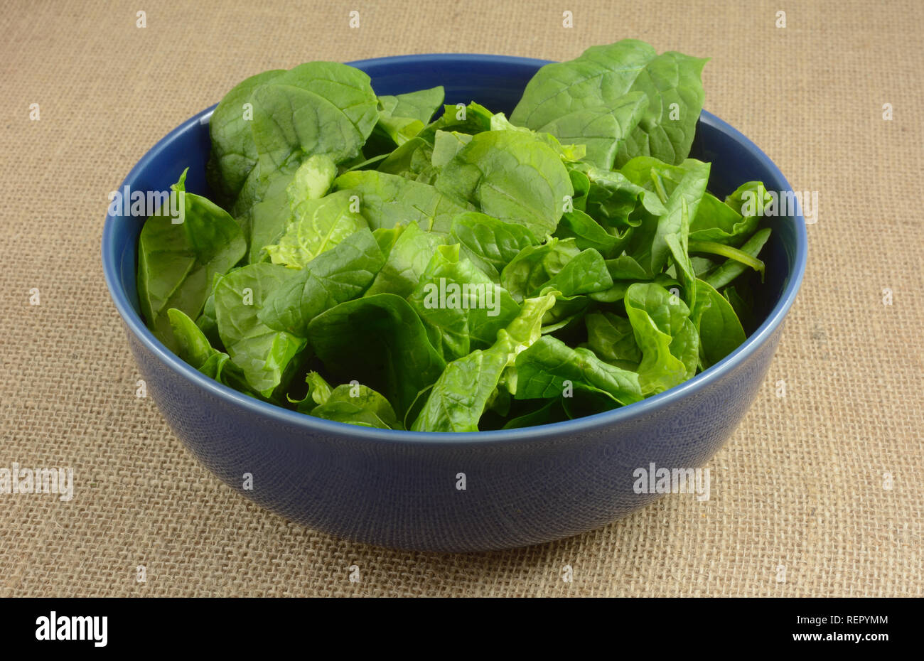 Rinsed and cleaned raw spinach in blue bowl on burlap Stock Photo