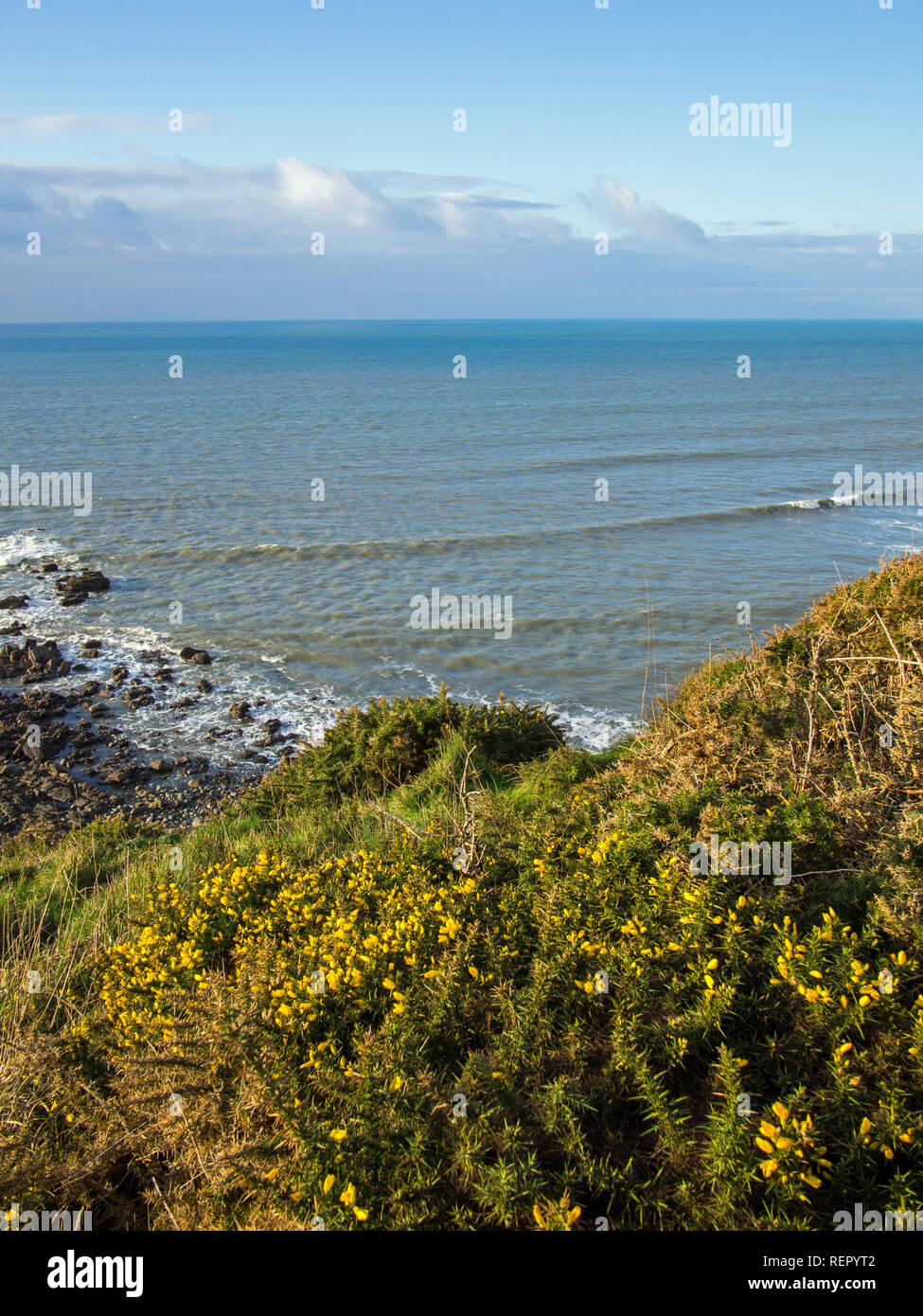 beautiful and scenic coast path at Westward Ho in North Devon , England Stock Photo