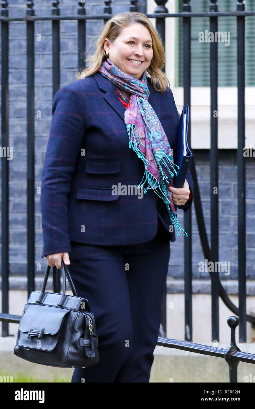 Karen Bradley - Secretary of State for Northern Ireland is seen departing from No 10 Downing Street after attending the weekly Cabinet Meeting. Stock Photo