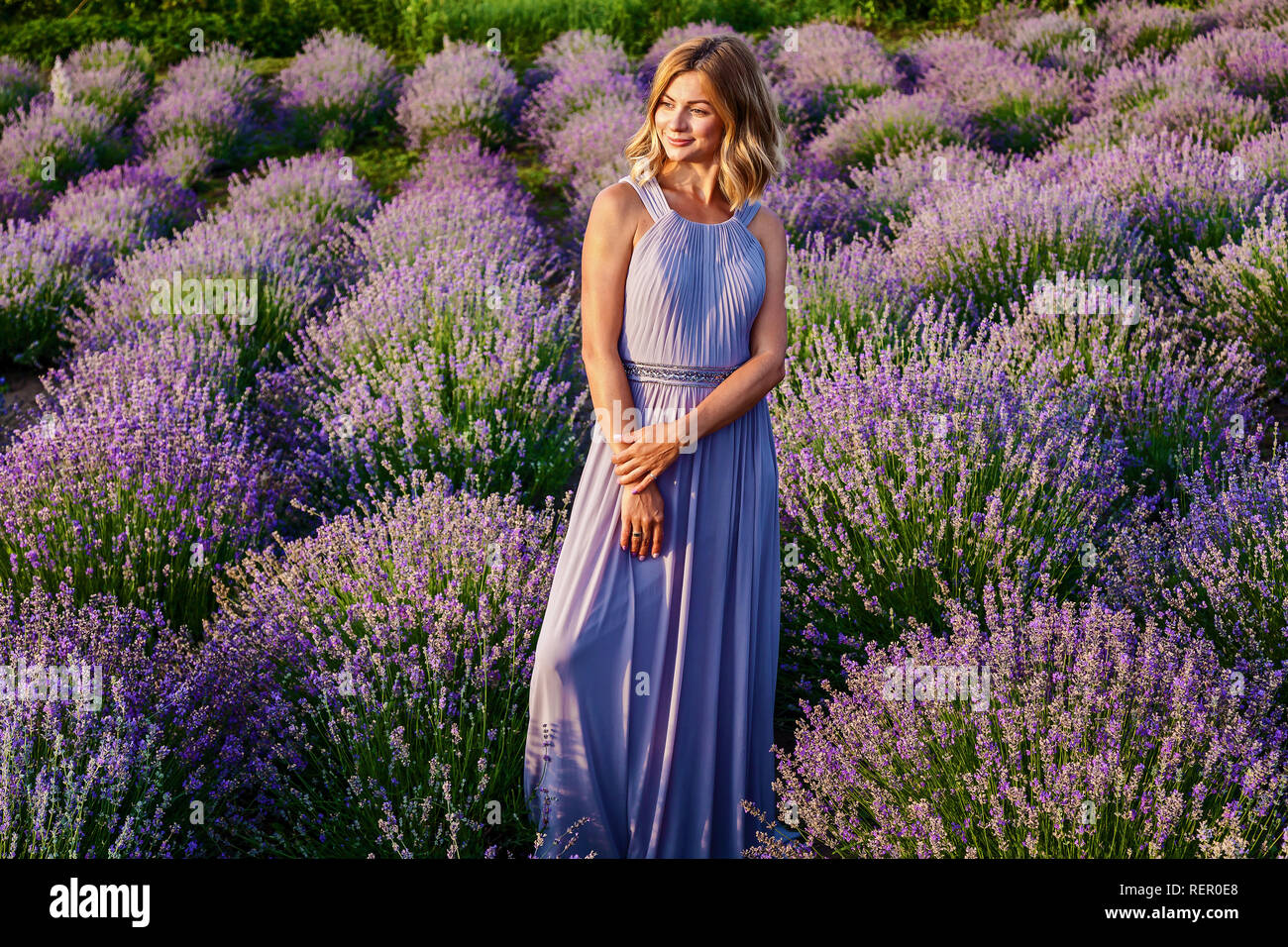 Beautiful girl in a purple dress posing on a lavender field Stock Photo ...
