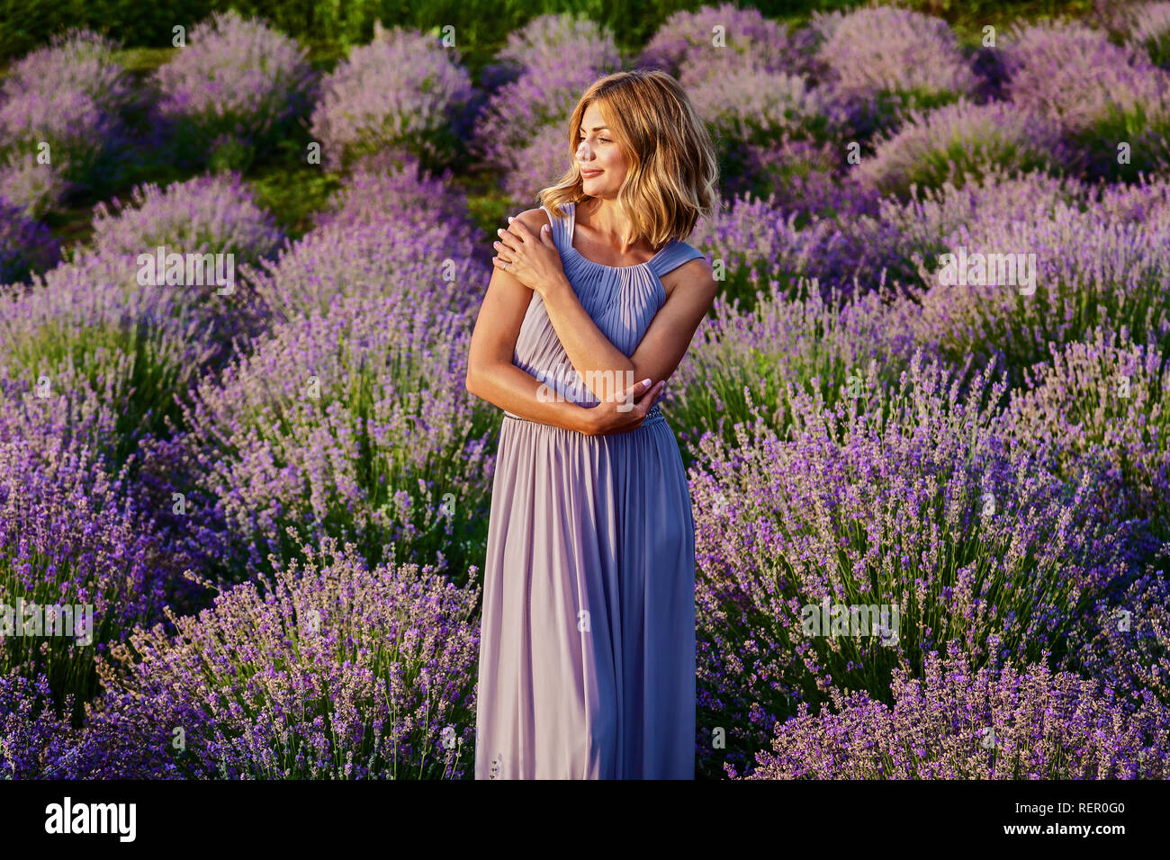 Beautiful girl in a purple dress posing on a lavender field Stock Photo ...