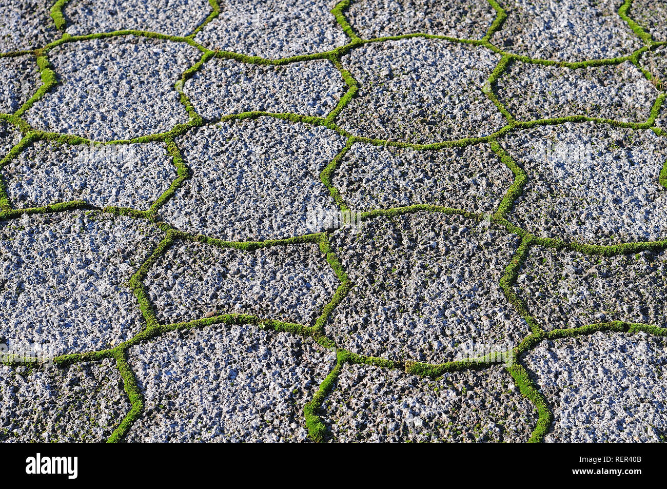rough pavement with moss growing in interstices of paver stones Stock