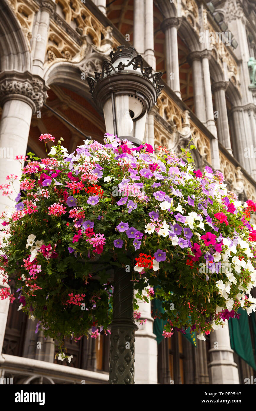 Colorful flowers at the Museum of the City of Brussels. Stock Photo