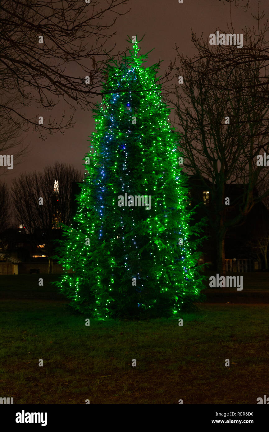 Christmas tree with lighting Stock Photo - Alamy