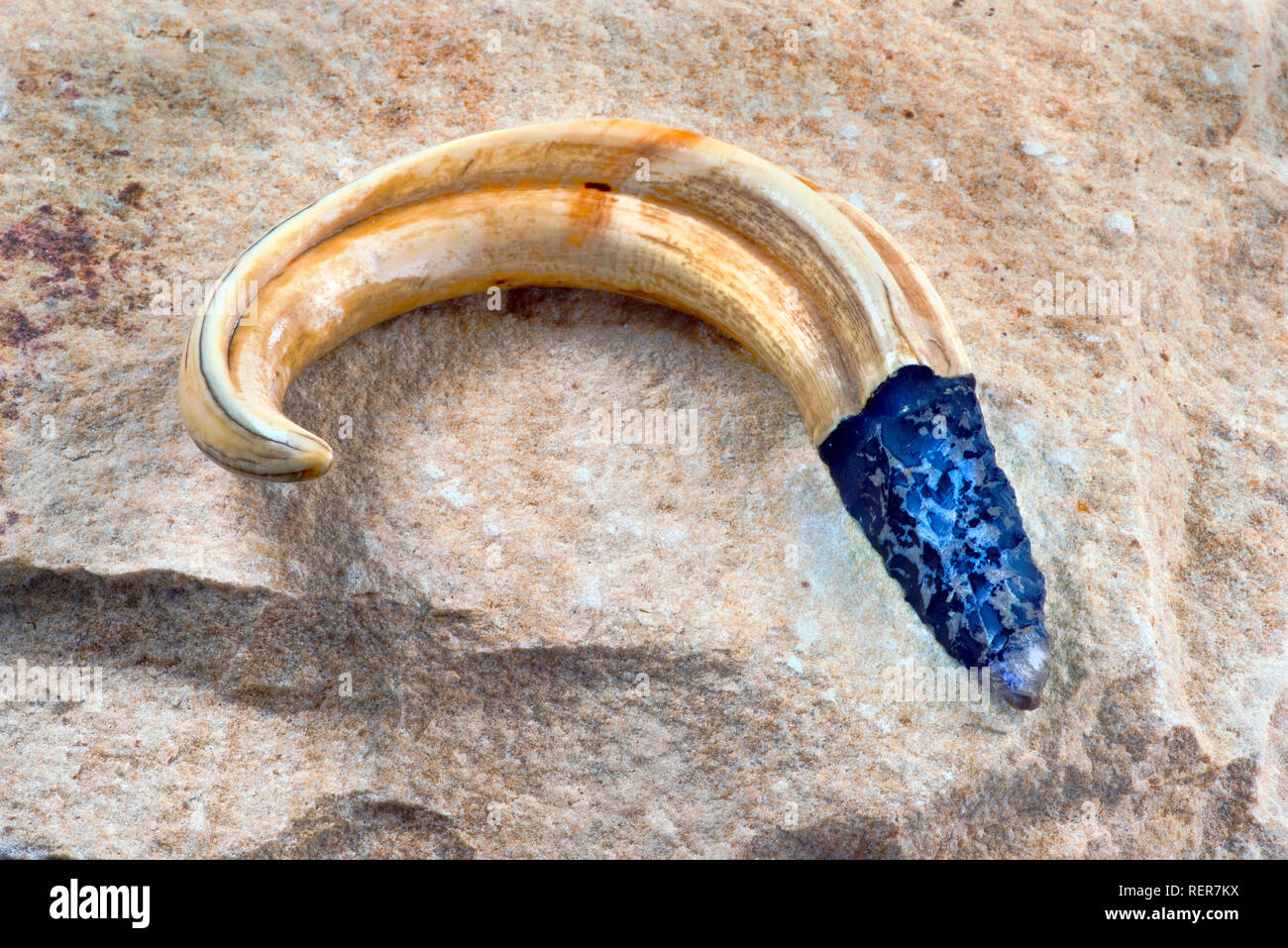 American Indian flint knife or hand tool. Stock Photo