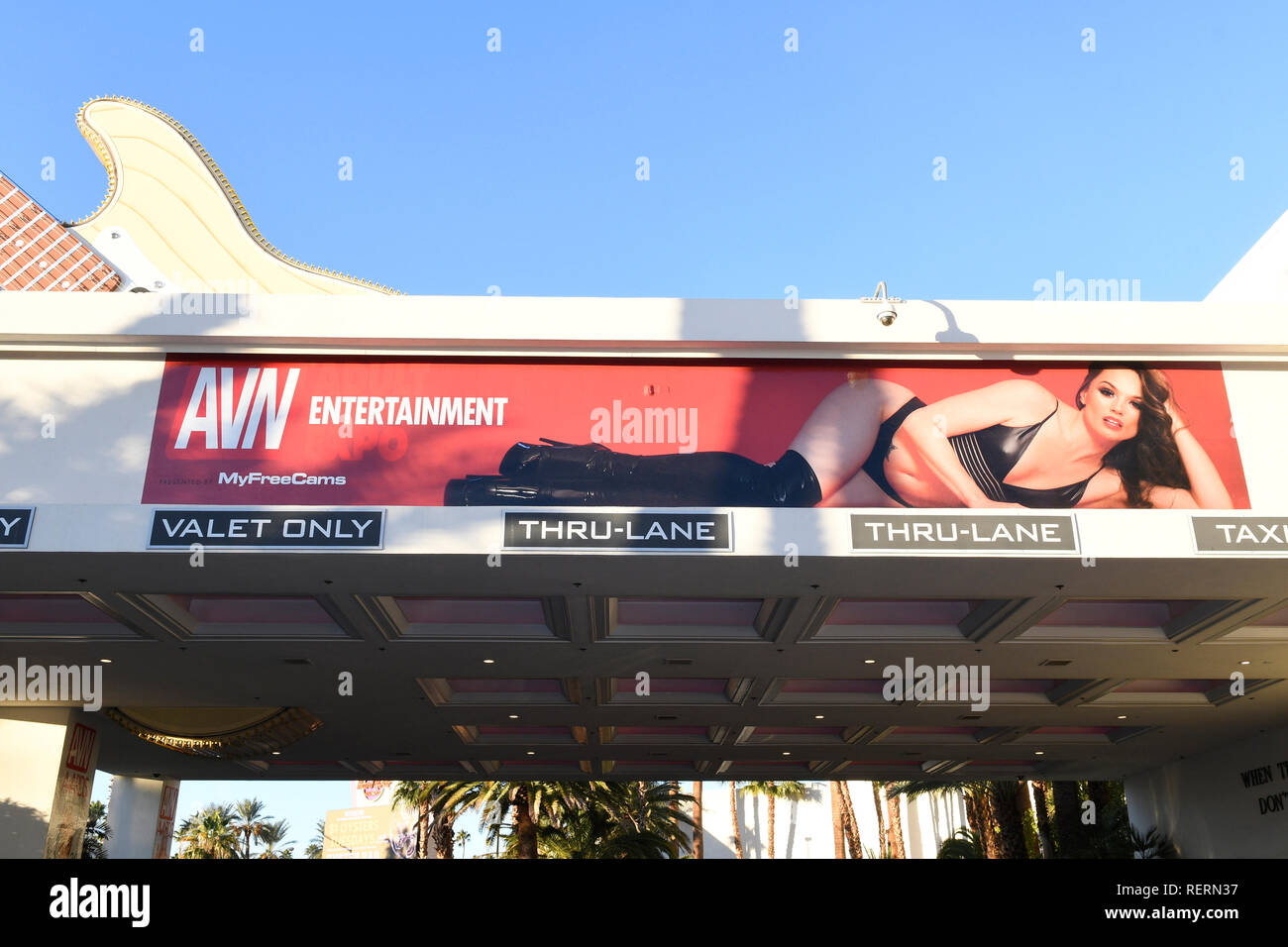 Avn adult entertainment expo hires stock photography and images Alamy