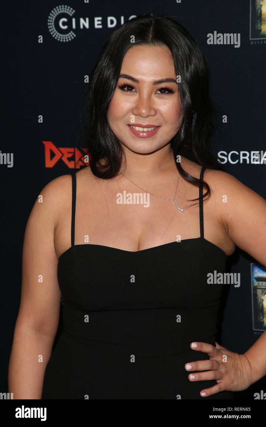 Los Angeles, USA. 22nd Jan, 2019. 22 January 2019 - Hollywood