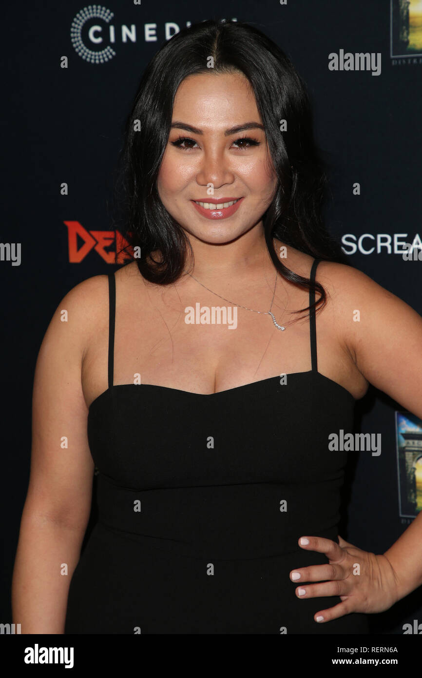 Los Angeles, CA, USA. 22nd Jan, 2019. 22 January 2019 - Hollywood