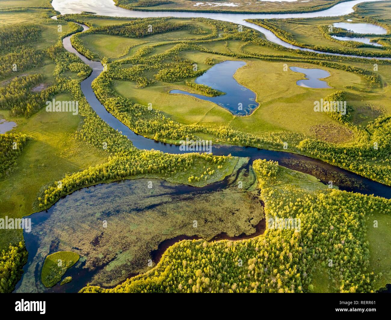 Drone view, aerial photo of Vuontisjärvi, small lakes and meanders, river loops in boreal arctic forest with conifers Stock Photo