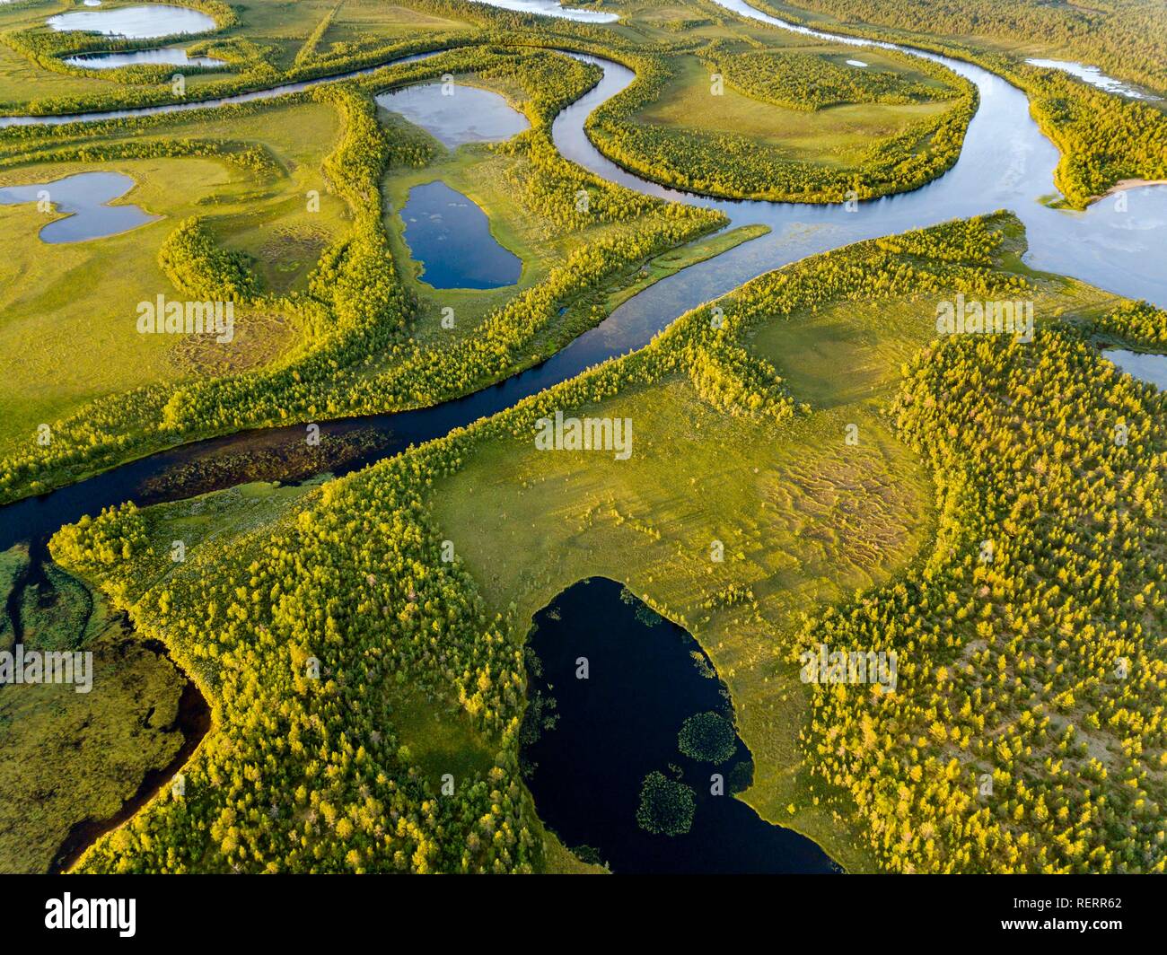 Drone view, aerial photo of Vuontisjärvi, small lakes and meanders, river loops in boreal arctic forest with conifers Stock Photo