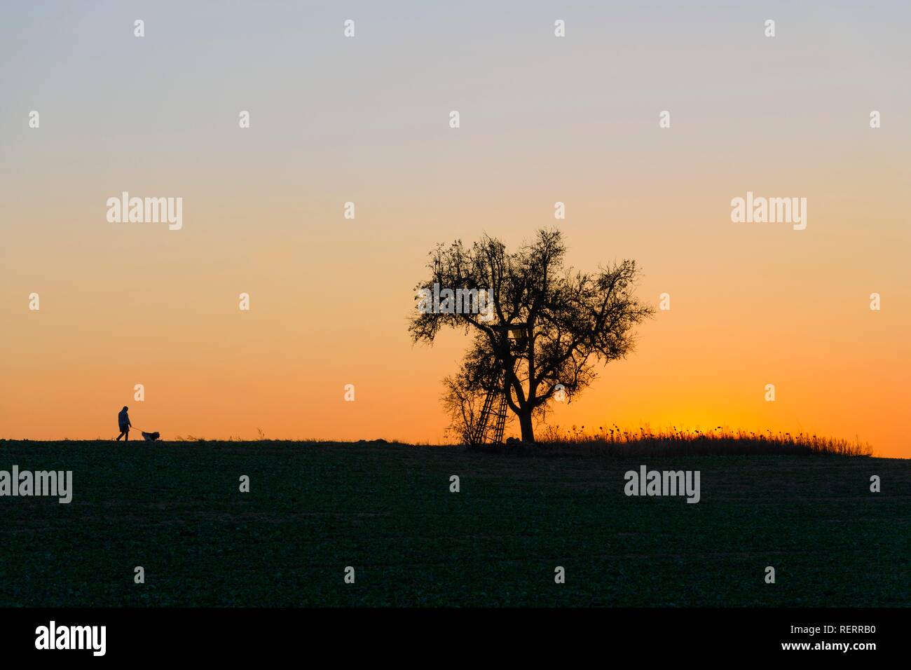 Tree silhouette hill hi-res stock photography and images - Alamy