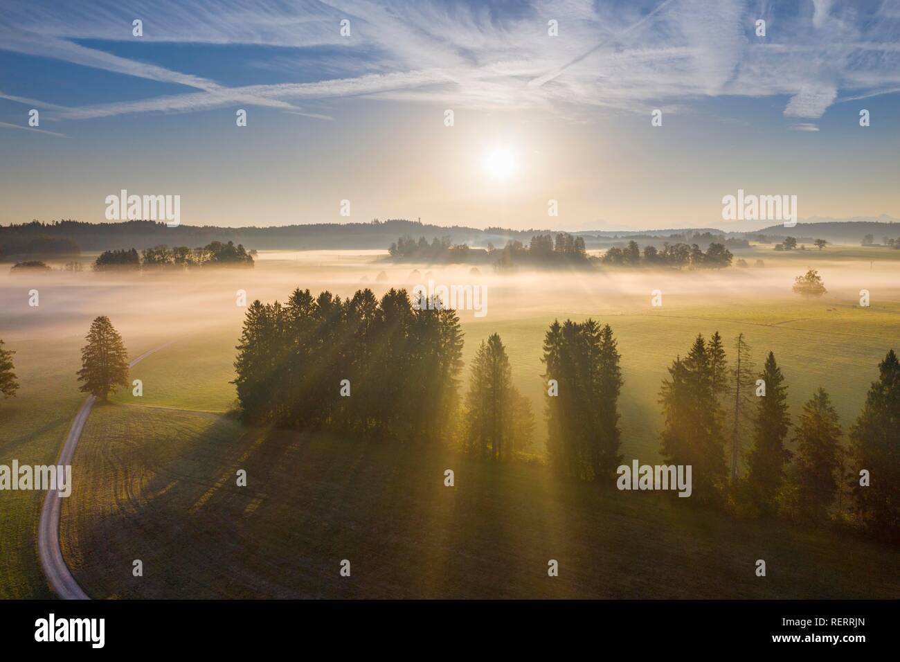 Ground fog at sunrise, near Dietramszell, drone view, Tölzer Land, Alpenvorland, Oberbayern, Bavaria, Germany Stock Photo