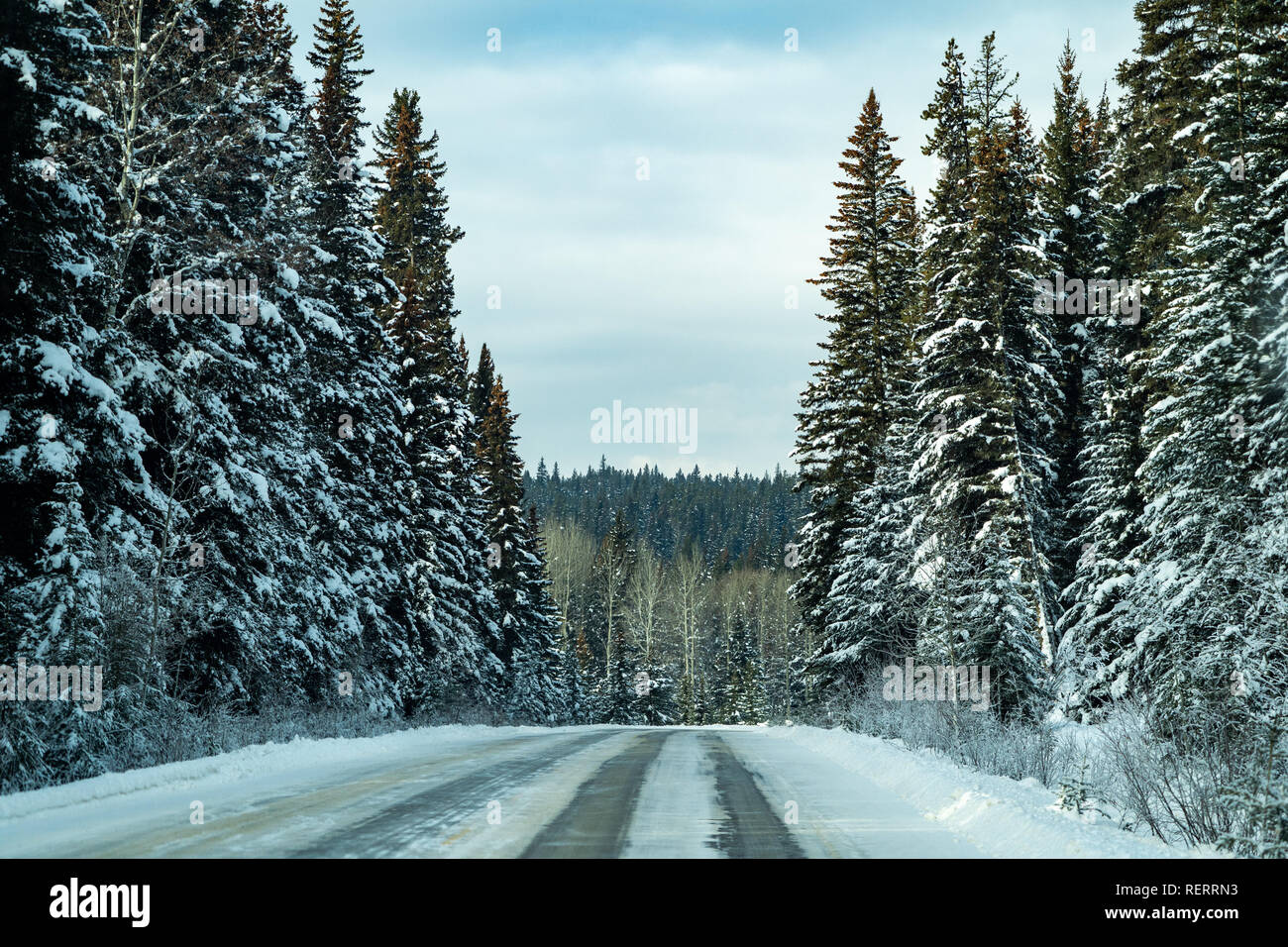 Snow and ice covered road through the Bow Valley Parkway with snowy ...