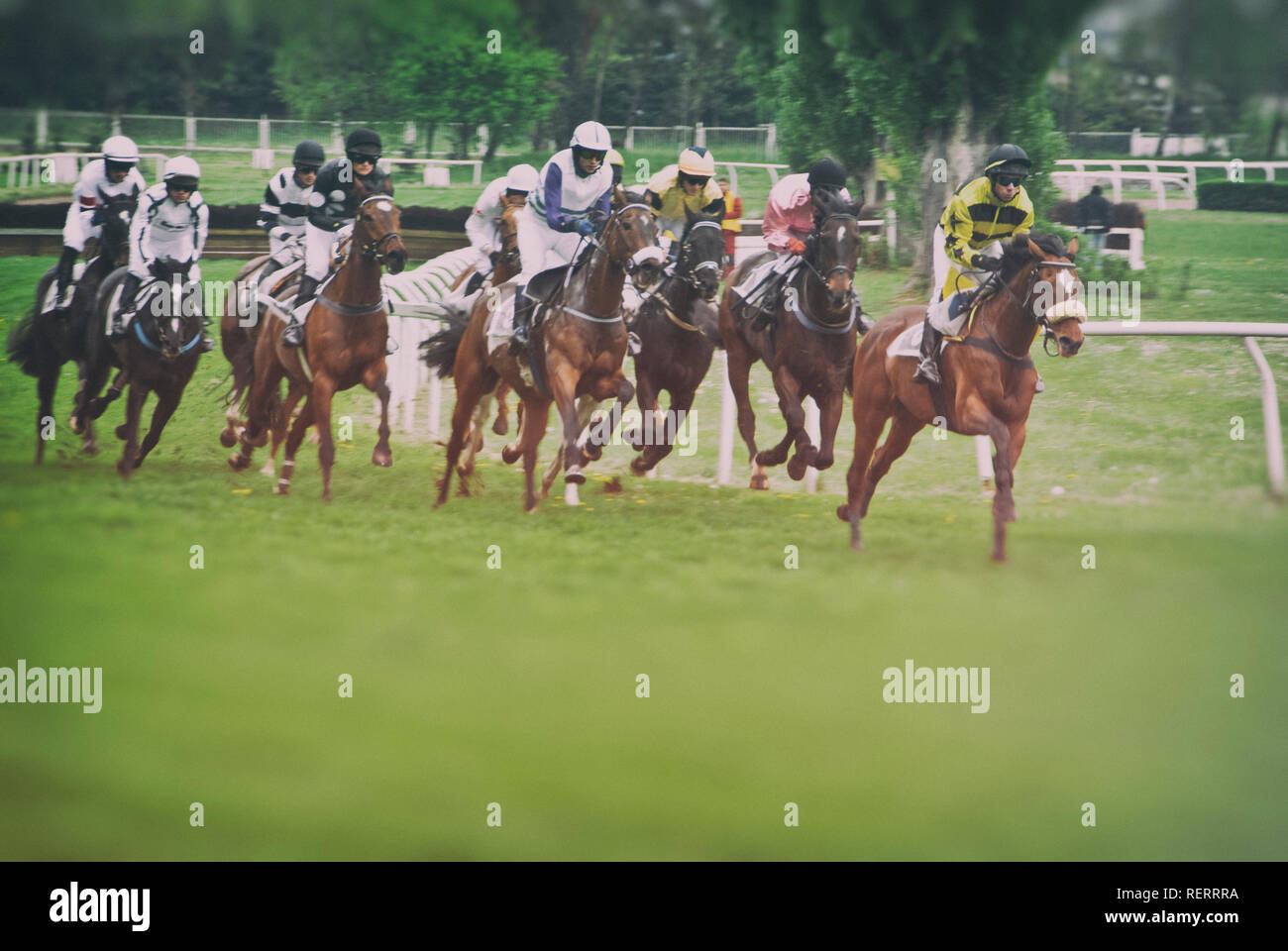 horse race Pardubice steeplechase vintage Stock Photo