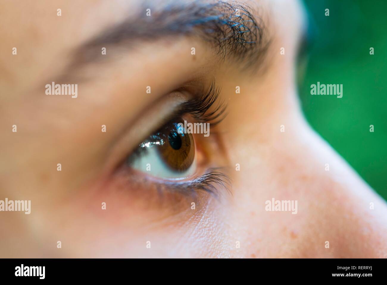 Closeup of woman's brown eyes, Germany Stock Photo