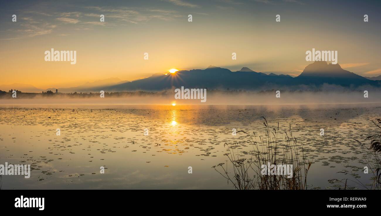 Sunrise, Lake Hopfensee, near Füssen, Ostallgäu, Allgäu, Upper Swabia, Swabia, Bavaria, Germany Stock Photo