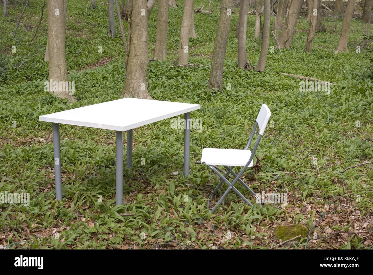 Contemporary office furniture outside in a woodland setting Stock Photo