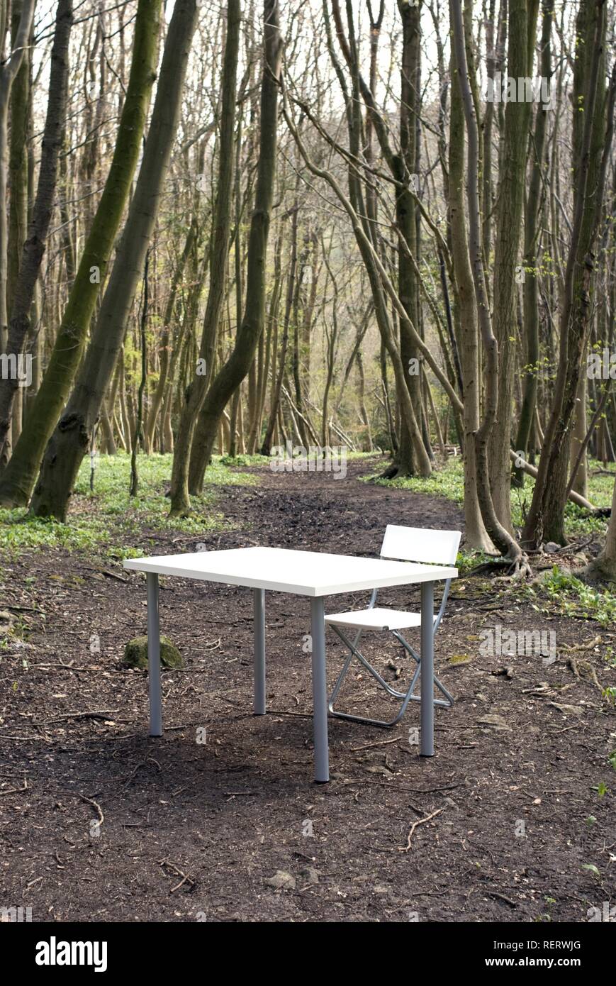 Contemporary office furniture outside in a woodland setting Stock Photo