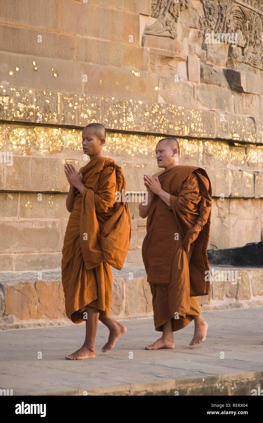 Praying Buddhist monks circling the Dhamekh stupa, Isipatana Deer Park, Sarnath, Uttar Pradesh, India, South Asia Stock Photo