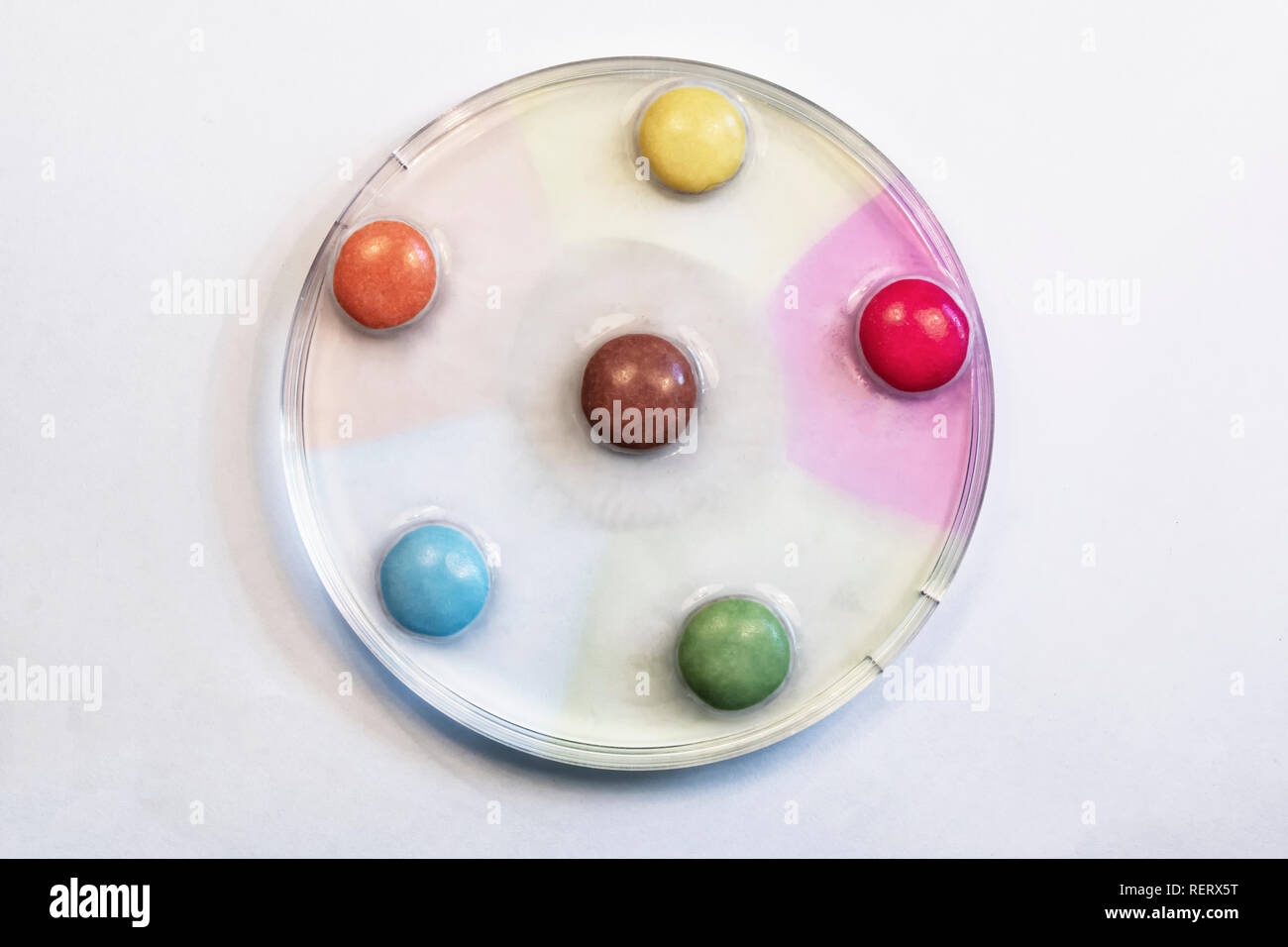 Diffusion experiment using sweets in a petri dish Stock Photo