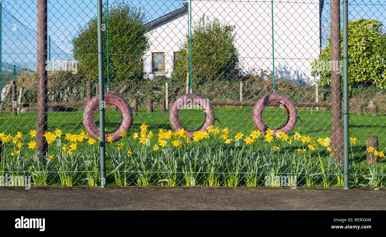 fenced childrens play area behind green chain link fencing edged with daffodils Stock Photo