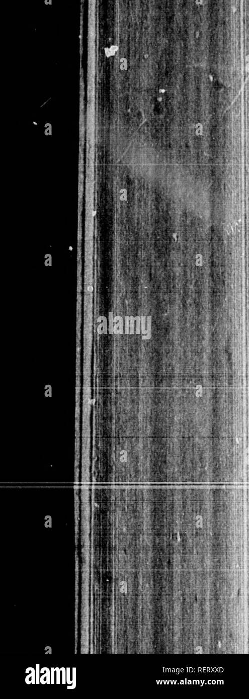 Faint dots Black and White Stock Photos & Images Alamy