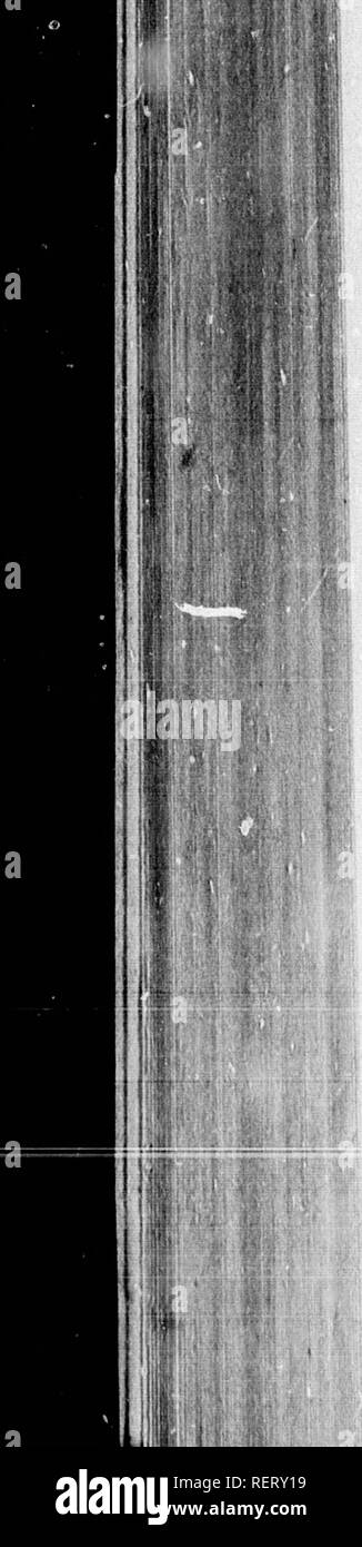 Jmo High Resolution Stock Photography And Images Page 2 Alamy