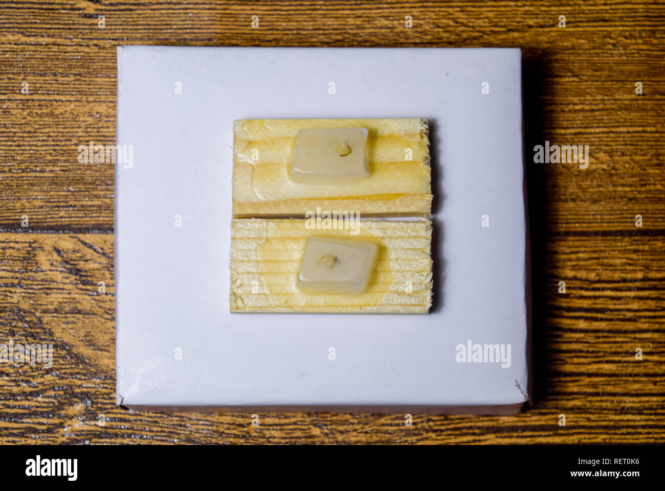 Paraffin blocks with cancer samples, samples for histological examination of the tumor. Pieces