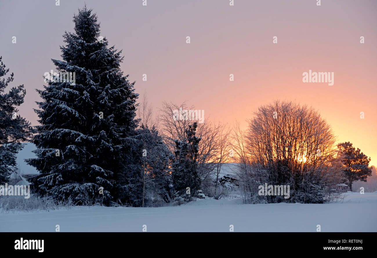 Snow is falling in the sunrise with beautiful colours Stock Photo - Alamy